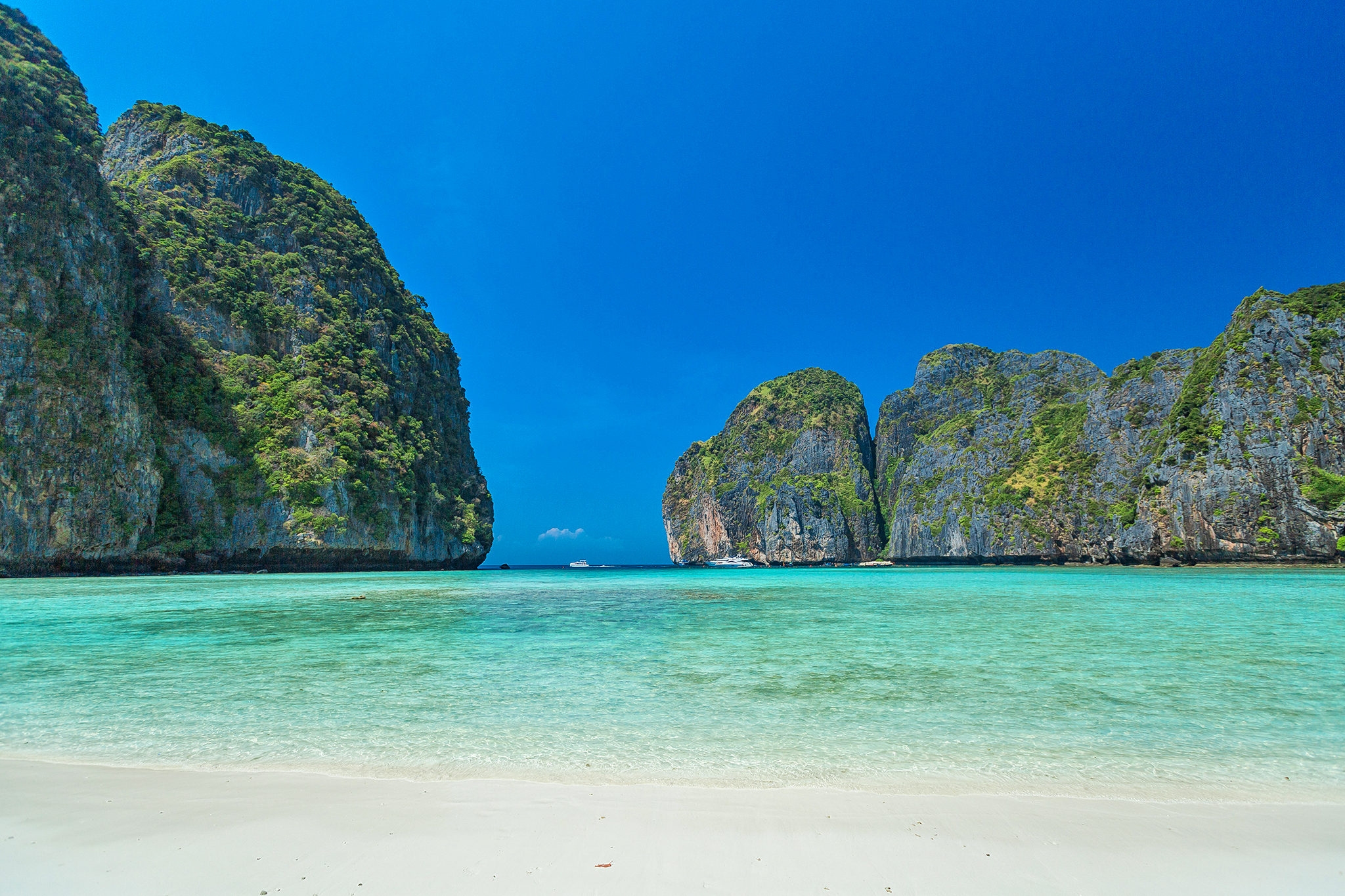 Maya Bay surrounded by limestone cliffs
