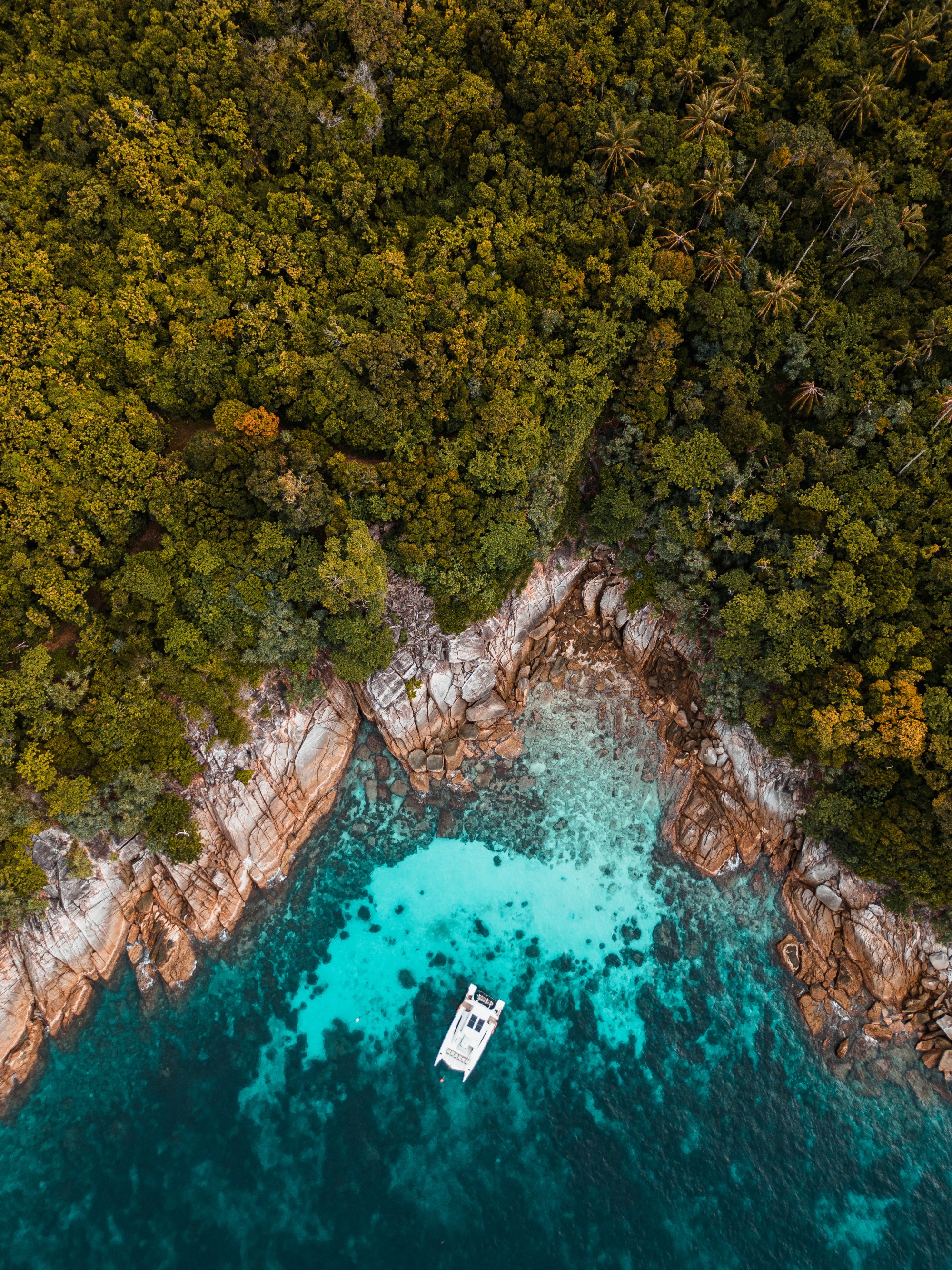 Vibes Catamaran Yacht experience in a Similan Island bay